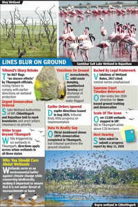 NGT raps 3 states over wetland neglect, orders demarcation