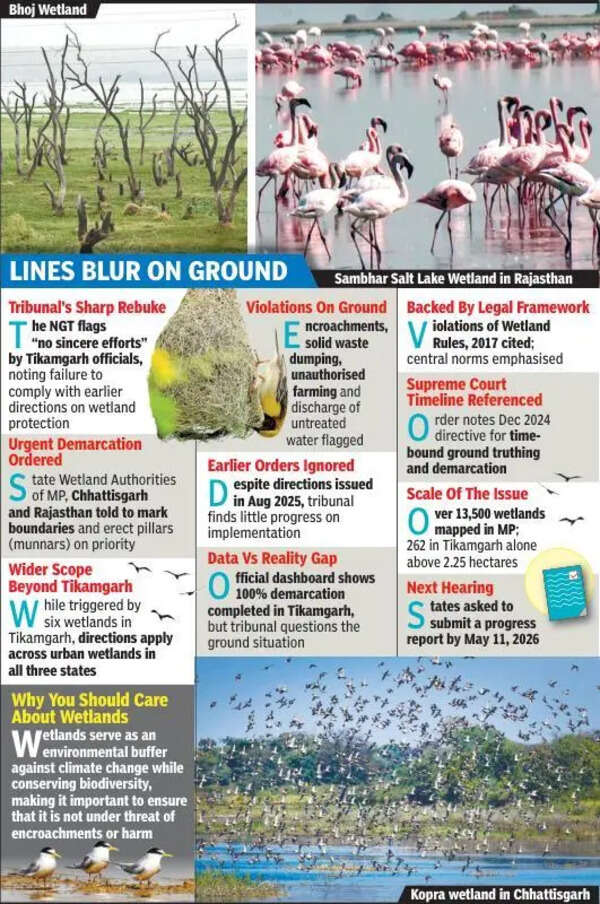NGT raps 3 states over wetland neglect, orders demarcation
