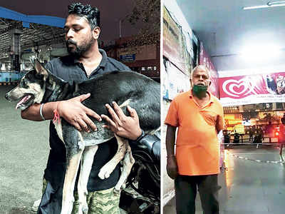 Activists nab man suspected of sexual assault on dog at Nerul station