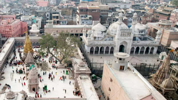 Will now seek right to worship shivling found in Gyanvapi pond: Plaintiffs' lawyer