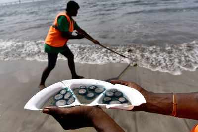 Jellyfish, stingray warning on Mumbai's beaches