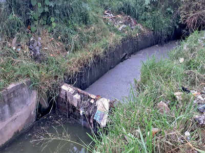 Bucket trap leads to dead fish at Haralur Lake