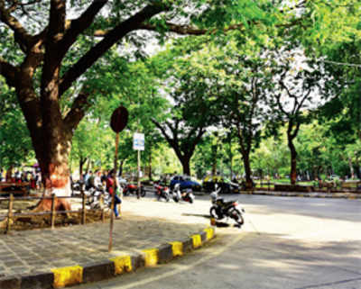 ‘We want more trees, bigger gardens not wider roads’
