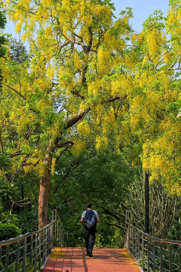 Delhi’s Hottest Season Comes Dressed In Yellow