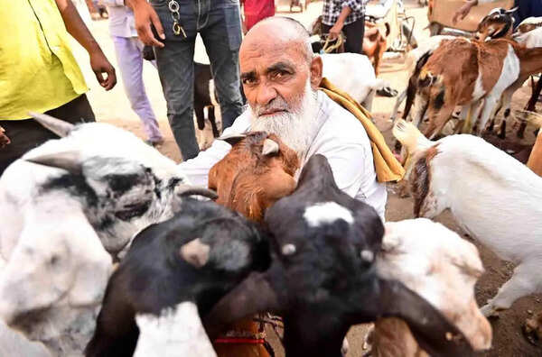 Security arrangements for Bakrid, city divided into six zones and 17 sectors