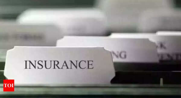 Insurance scheme for gig workers a non-starter