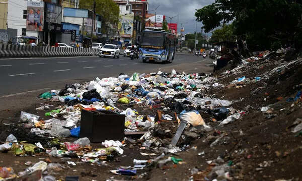 Minister berths for Velachery, R K Nagar MLAs trigger civic expectations