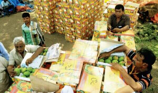 Banned chemicals may be making your mangoes ripe and sweet