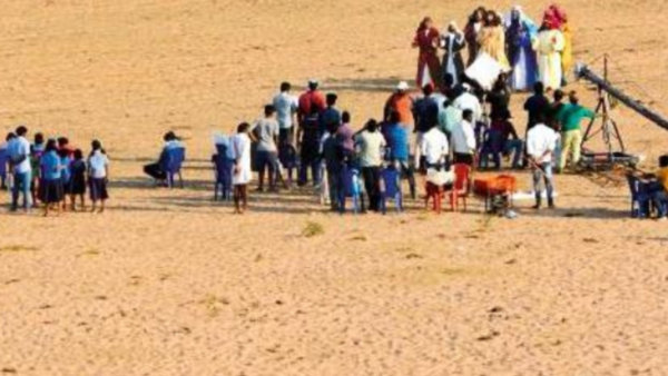 Sandalwood sees spurt in shoots; many say locations not available