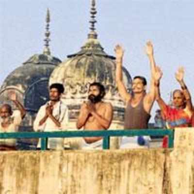 Babri verdict: Wakf to appeal in SC