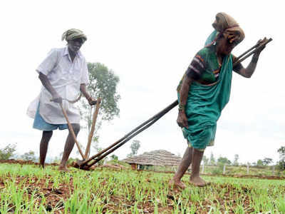 Govt’s new farm loan pipeline will bypass ‘Congress-NCP banks’