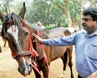 Matheran conducts op to boost horsepower