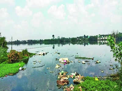 Chikkabanavara Lake sees Rs 12-cr sliver of hope