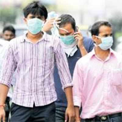 Arms dealer uses swine flu fear to escape police