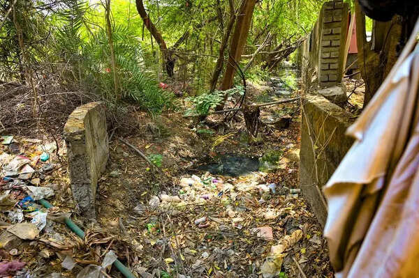 50 Yrs On, PDKV Watches Sharks Gobble Land: 26.69 hectares in prime Nagpur locality remain illegally occupied