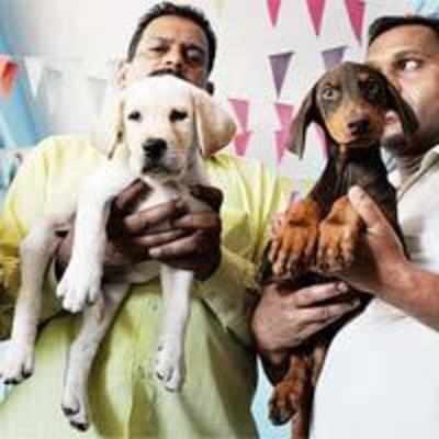 Railways groom 17 pups to be superdogs some day