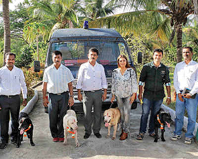 Finally, an old age home for 26/11 canine heroes