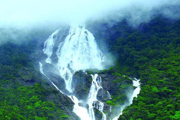 Operators-govt tussle over online tour bookings delays Dudhsagar fall opening