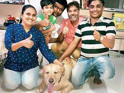59-year-old  Girgaum resident finds missing dog on his own