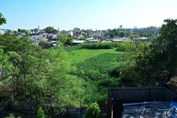 Nagpur’s Vanishing Lakes Trigger Environmental Alarm, High Court Steps In
