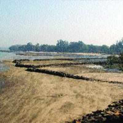 Survey shows Alibaug beach among the most popular in Maharashtra