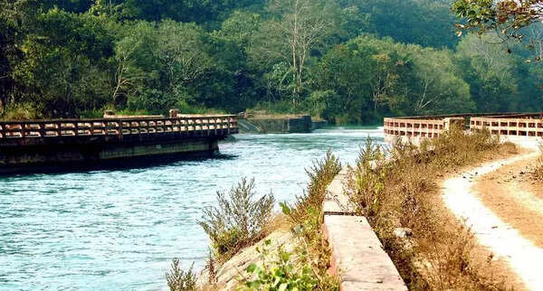 UP to get first exclusive leopard safari park in Pilibhit