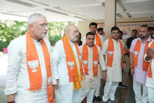 It is govt’s resolve to remove every illegal immigrant: Amit Shah