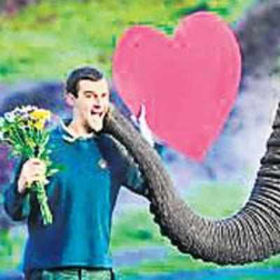 Zoo's jumbo love affair