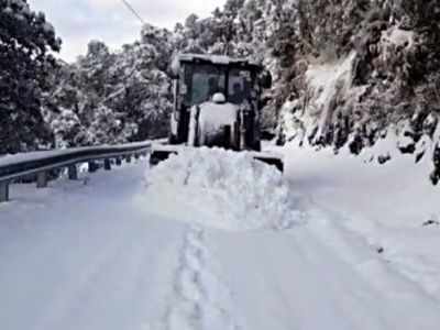Cold wave conditions prevail in north India, 3 die in snowfall-related incidents in Uttarakhand