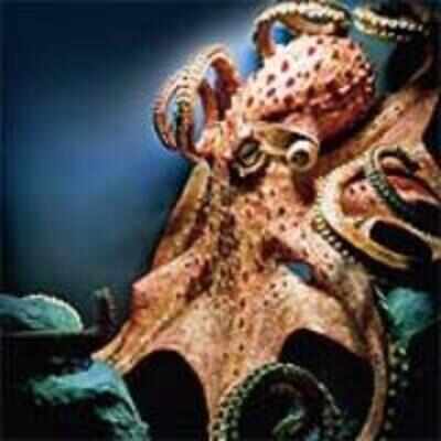 World domination in octopods blue blood