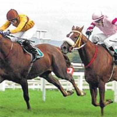 Jockey Chouhan axed for a month