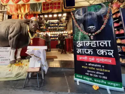 'Forgive us': Posters in Pune seek apology after gaur, who strayed into residential area, died