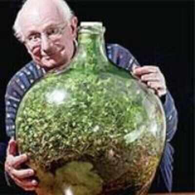 Watered just once in 53 years, plant survives in sealed bottle