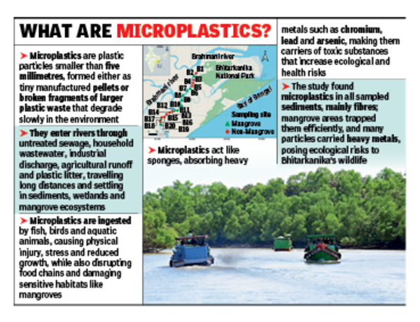 Scientific study finds microplastics in Bhitarkanika ecosystem