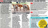 Principals now on &lsquo;dog duty&rsquo;; Stray issue, SIR at expense of edu: Oppn