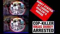 Gangster Vikas Dubey took shelter at a liquor dealer's home in Ujjain: Sources 