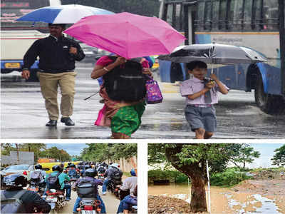 Commuters struggle to solve road-puddle puzzle