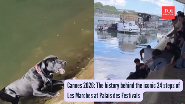 Peak humanity: Parisians form a human chain to save a drowning pup from the Seine River