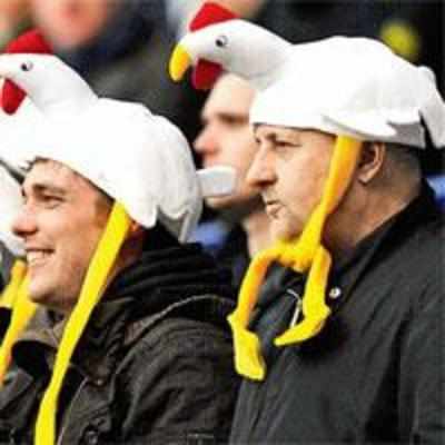 Will Rovers live up to the chicken jokes?