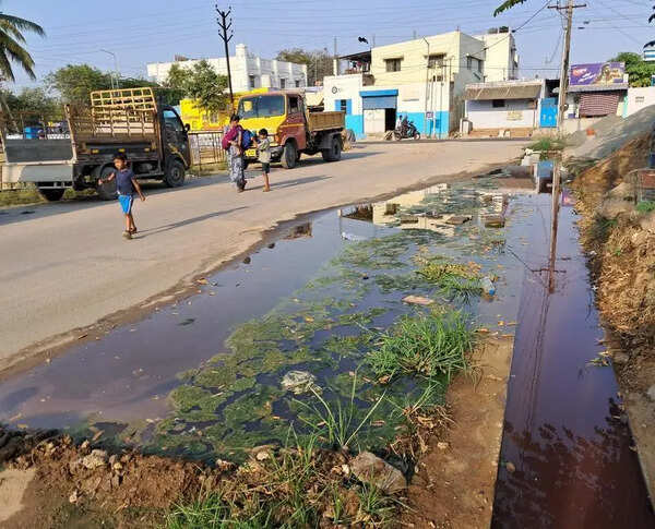 Shortage of sanitary workers hits Coimbatore corporation’s cleanliness drive