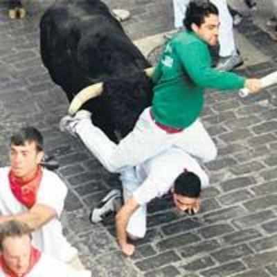 There's still one place to see a bull run