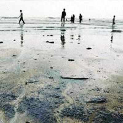 Oil yet to reach Thane creek, no need to panic'¦yet