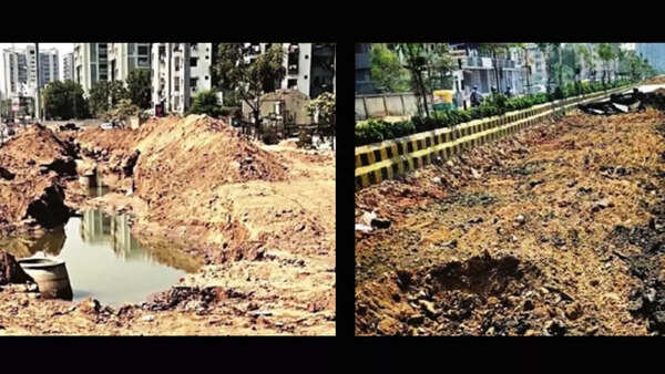 Holes punched in Ahmedabad municipal commissioner’s claims