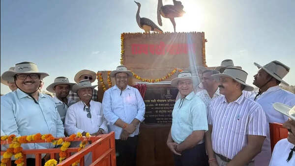 Rajasthan wildlife department to release captive-bred GIB chicks into natural wildlife habitats soon