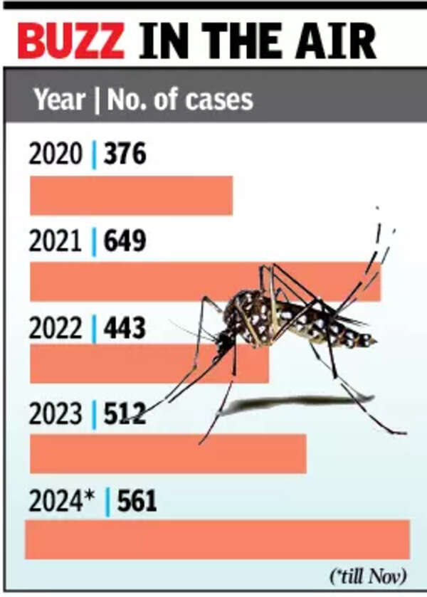 Most of 2024’s dengue cases in Goa were detected in non-monsoon period
