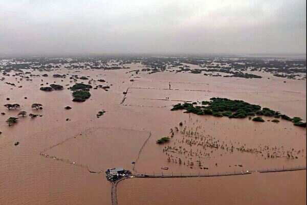 Gujarat floods: 15 airlifted, over 10,000 evacuated from Surat, Navsari districts