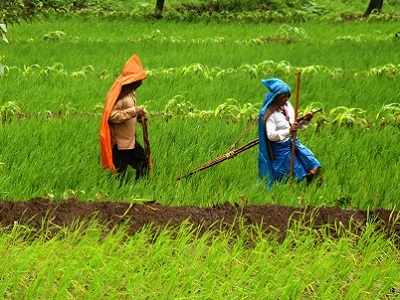 Maharashtra: Devendra Fadnavis government increases ambit of loan waiver, offers special package for Vidarbha