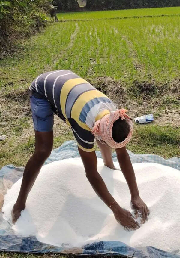 Nano-urea ‘coercion’: 15k fertiliser shops shut in Punjab