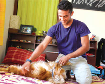 The techie who pampers pooches