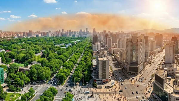 Cities could become twice as deadly without trees: Study reveals how urban forests slash heat by nearly 50%